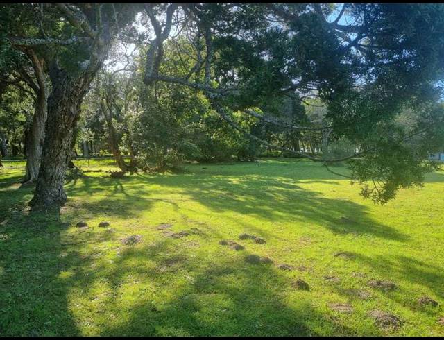 LAND FOR SALE IN BRENTON ON LAKE